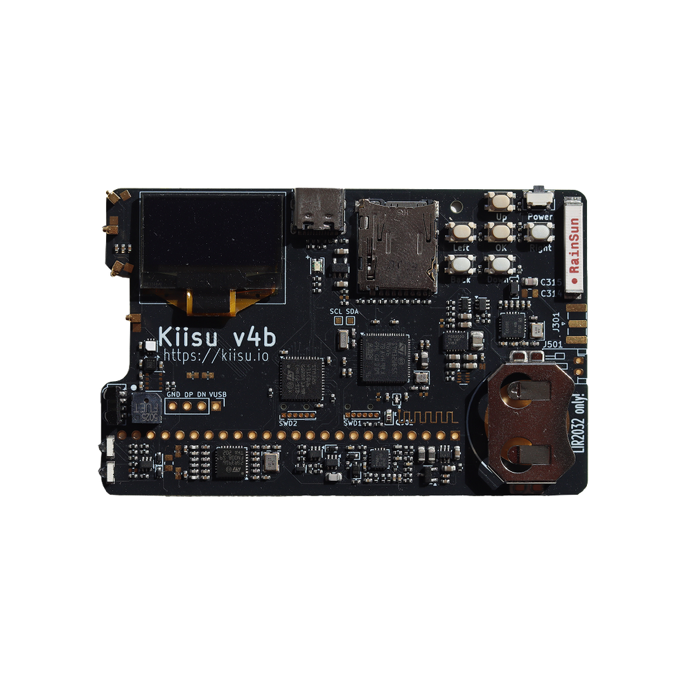 Kiisu V4B Development Board