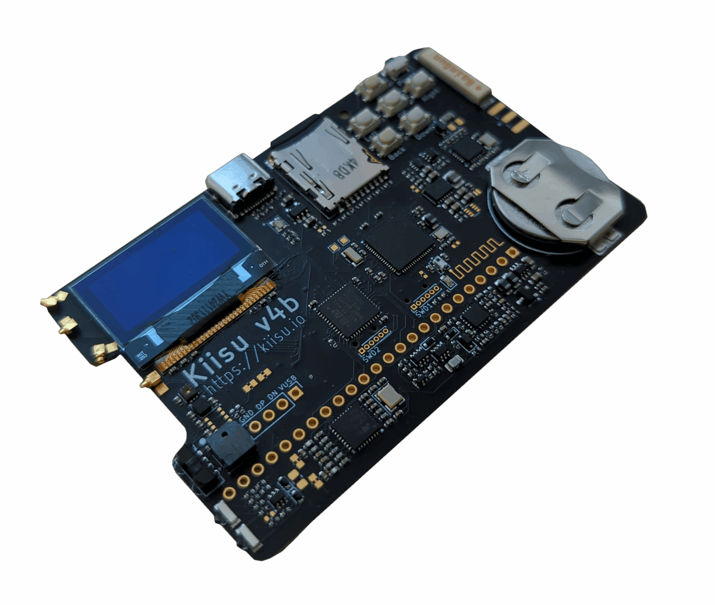 Kiisu V4B Development Board
